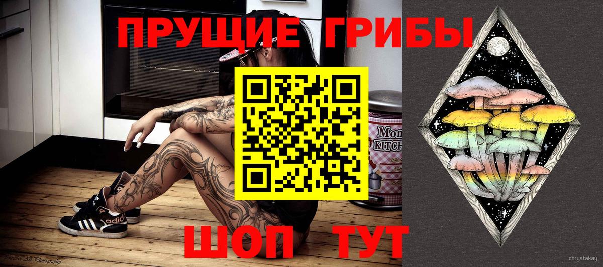 Галлюциногенные грибы мухоморы Волоколамск